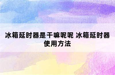 冰箱延时器是干嘛呢呢 冰箱延时器使用方法